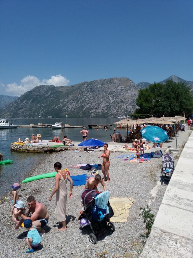Apartment Deki Studio Kotor Ngoại thất bức ảnh