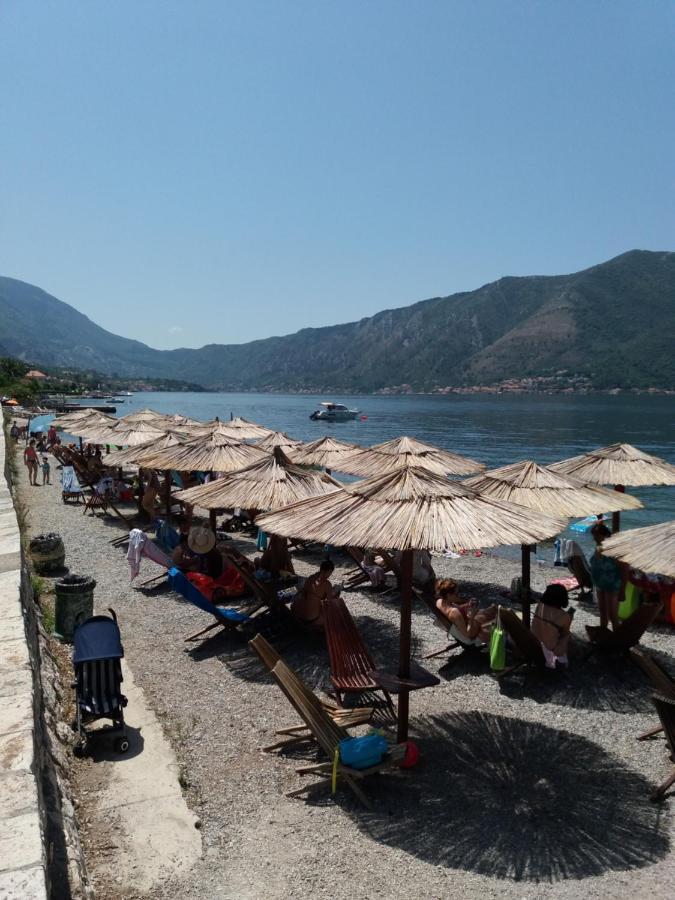 Apartment Deki Studio Kotor Ngoại thất bức ảnh